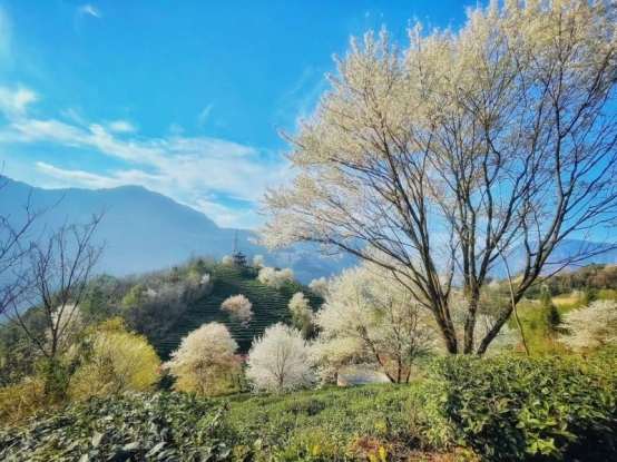 北川研学名县|当千年文脉碰撞当代科创，北川研学太会玩了